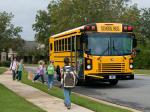 Blue Bird All American FE School Bus 2008 года
